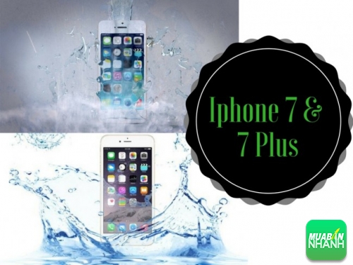 Iphone 7 và 7 plus hống nước